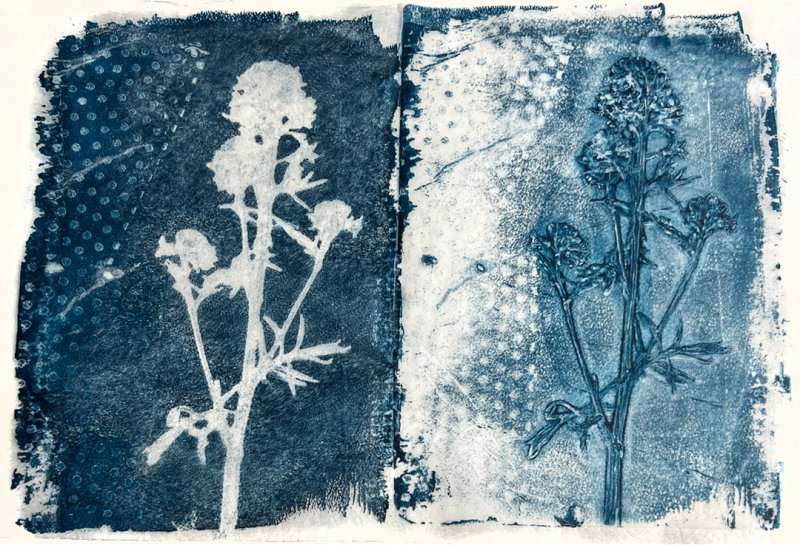 04 Barbara Ford Doyle, Botanical Diptych