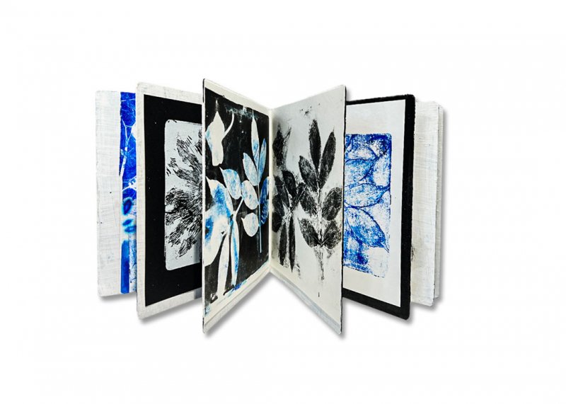 23 Rebecca Sher, Botanical Exploration, Black & Blue